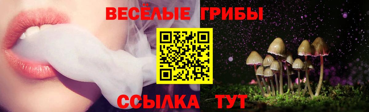 Галлюциногенные грибы Psilocybine cubensis Ижевск